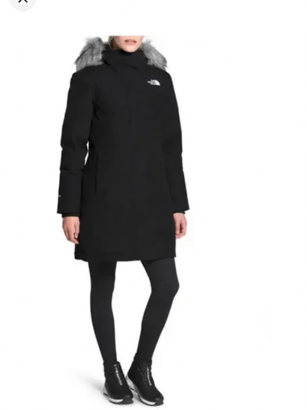 Northface Parka